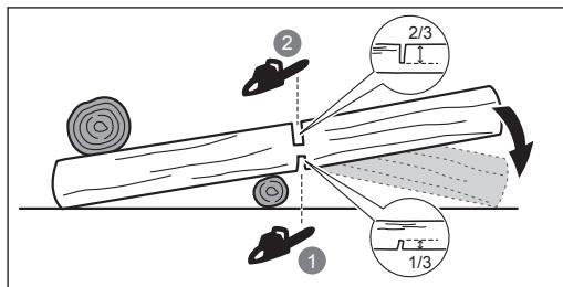 RYOBI RY36CSX35A - Řezání kořenových náběhů - 2