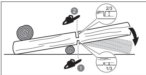 RYOBI RY36CSX35A - Usunięcie korzeni bocznych - 2
