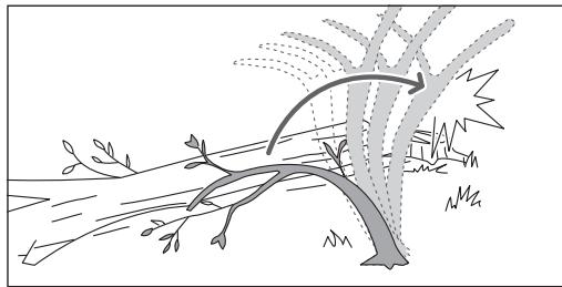 RYOBI RY36CSX35A - Ébranchage d'un arbre - 2