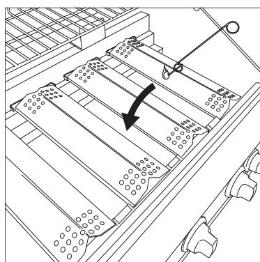 BARBECOOK SIESTA 612 - SERKOCINU IZMANTOSANA - 2
