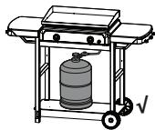 CAMPINGAZ BLUE FLAME EXLD - GASFLES - 2
