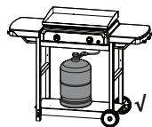 CAMPINGAZ BLUE FLAME EXLD - BOTELLADEGAS - 4