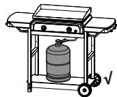 CAMPINGAZ BLUE FLAME EXLD - BUTELIA DE GAZ - 2