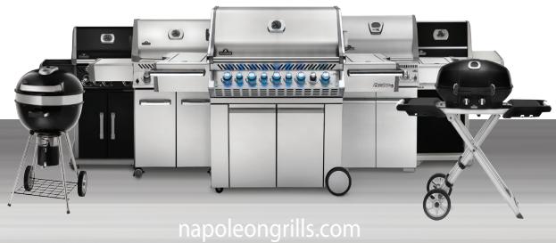 NAPOLEON GRILLS ROGUE R425SIBPK - Napoleon President's 15 Year Limited Warranty - 2