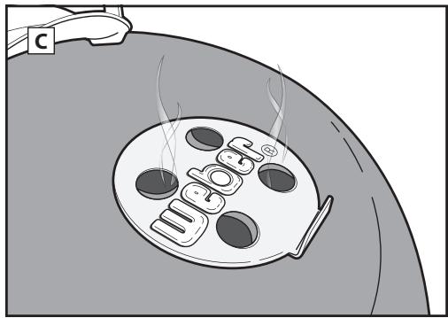WEBER PERFORMER GBS - 51592 - When finished cooking... - 2