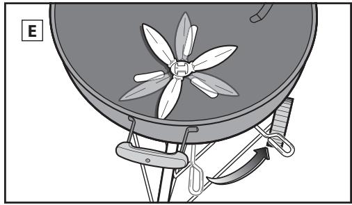 WEBER PERFORMER GBS - 51592 - Medicina y adicción de carbón para calor indirecto - 1
