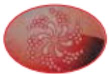 CAMBRIDGE 6 PLACES - 32A - Pompes - 1