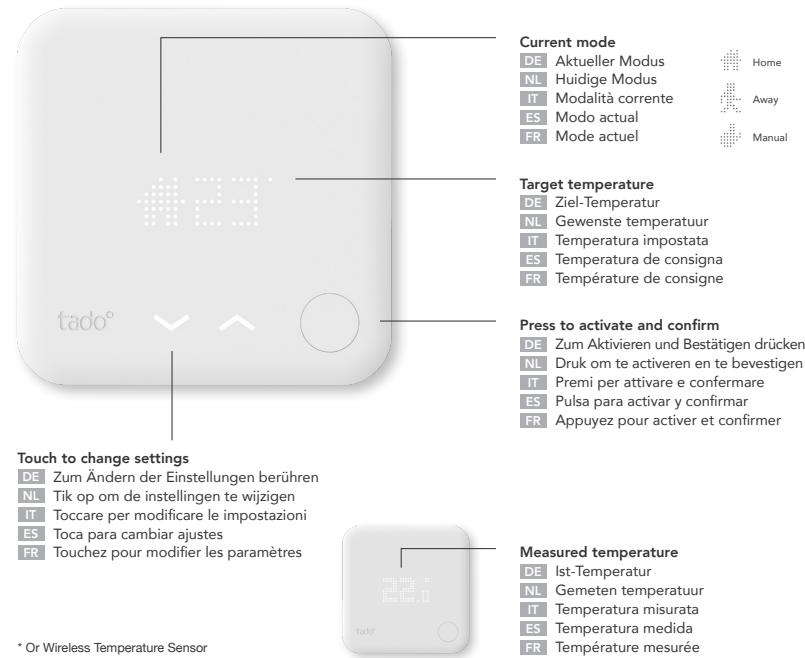 TADO QUATTRO PACK TADO - 2