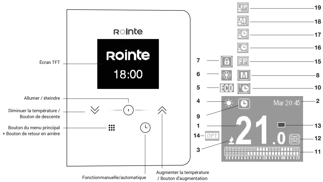 ROINTE ARIA - SYMBOLS - 5