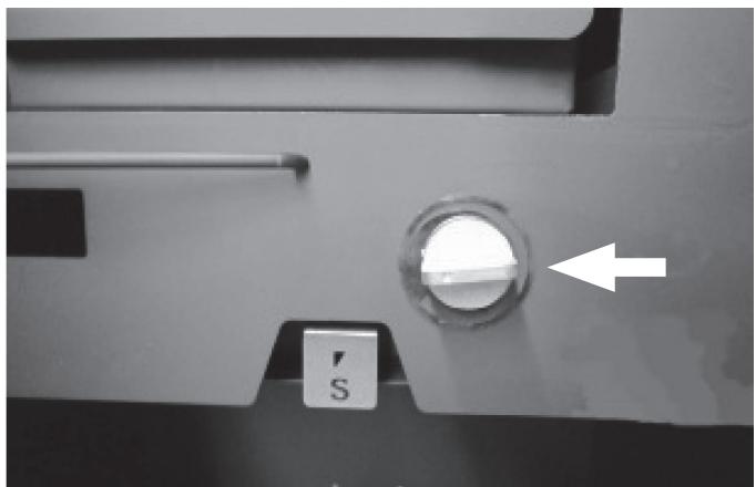 JUSTUS RENO R II - Heizen mit Braunkohlebriketts - 1