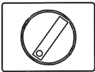 JUSTUS Voga (W+) - Heizen mit Braunkohlebriketts - 1