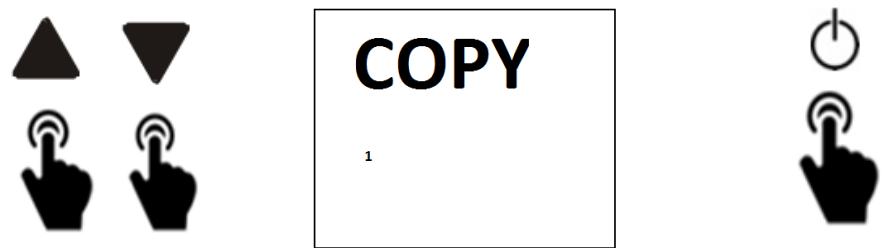 ETERNAL CURVADO - FONCTION COPY - 2