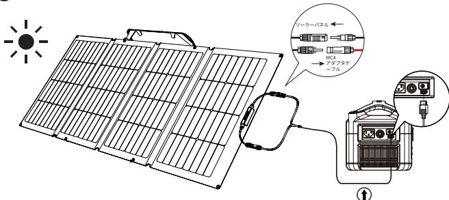 ECOFLOW 220W Bifacial Solar Panel - 1