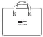 ECOFLOW 220W Bifacial Solar Panel - Contenido de la caja - 1