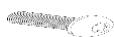 LEMARQUIER MC805ECE13 - MC805ECD - Montage Assembly / Montage : - 12