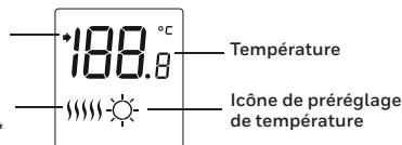 HONEYWELL HOME DT135 - Installation des piles - 1