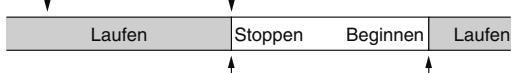 WOOZOO STF-DC15T - Stellen Sie zuerst zeitgesteuertes Einsatzen ein und dann zeitgesteuertes Ausschalten - 1
