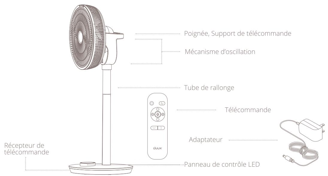 DUUX WHISPER FLEX DXCF12 - Aperçu du produit - 1