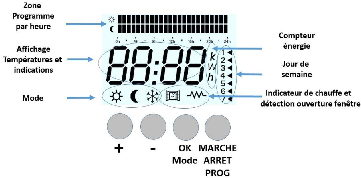 UNIVR VOLUPTA - ERD511 - INTRODUCTION - 1