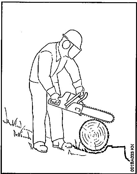 STIHL MS 241 C-M - Sciage - 2