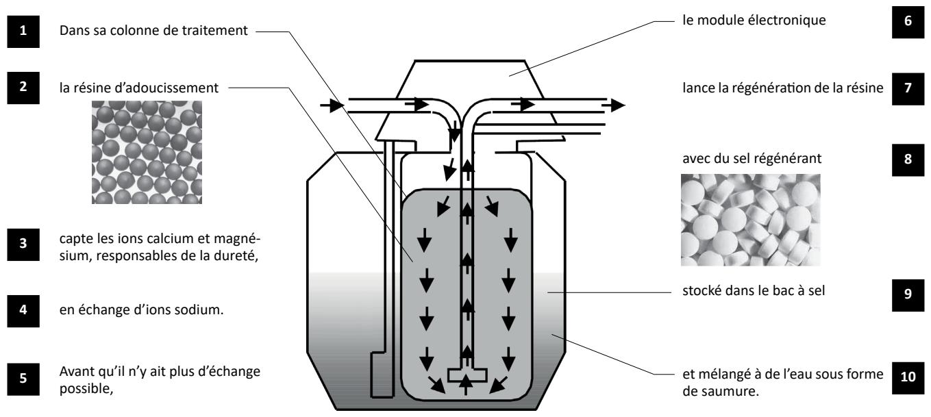 BWT A6X - R22 - PRINCIPLE DE FONCTIONNEMENT D'UN ADOUCISSEUR - 1