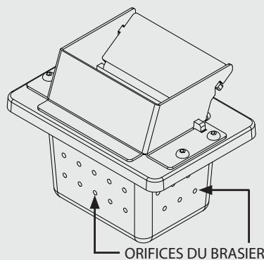 EXTRAFLAME DAHIANA - DAHIANA plus - TEOREMA - Un brasier PROPRE garantit un fonctionnement correct! - 1