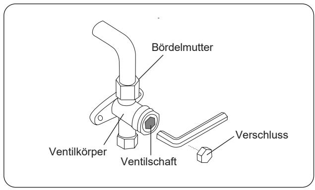 OLIMPIA SPLENDID ARYAL S2 E DUAL - TRIAL - VOR VORNAHME DER EVAKUIERUNG - 3