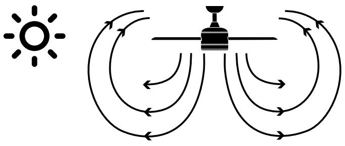SULION ROBOTTO - Rotation direction: summer and winter - 1