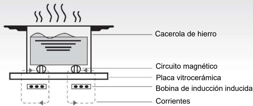 CANDY CTP63SC/E1 - Principios de funcionamiento - 1