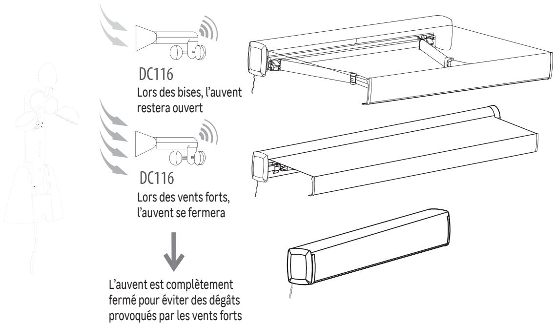 NATERIAL ANEMO ZN DC116 - ATTENTION! - 9