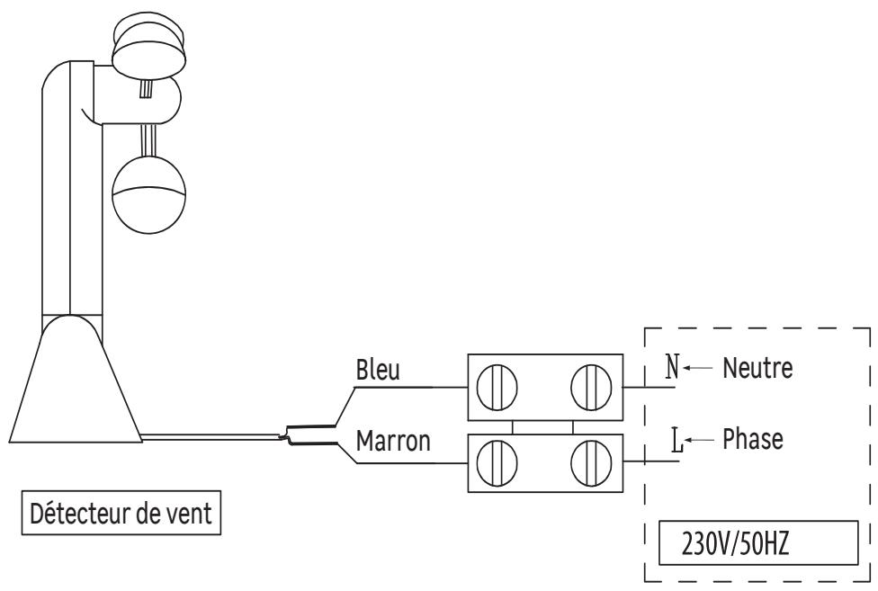 NATERIAL ANEMO ZN DC116 - ATTENTION! - 1