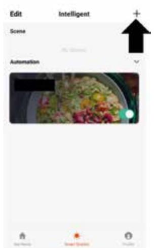 QLIMA WDH 229 PTC - SCENE - 2