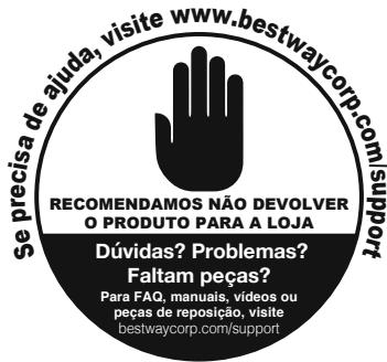 BESTWAY type II - BOMBA DE FILTRO MANUAL DO USUÁRIO - 1