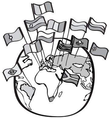 NATERIAL ILO - Object of the declaration|Objet de la déclaration|Objeto de la déclaration|Objeto da déclaration| - 1