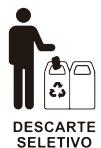 NATERIAL ILO - Object of the declaration|Objet de la déclaration|Objeto de la déclaration|Objeto da déclaration| - 4