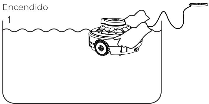 GRE WETRUNNER - Nota: - 1