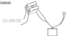 DIO DIOVDP-B01 - !! Attention !! - 1