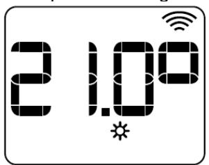 HJM IRINA - Réglage des températures de programmation. - 2