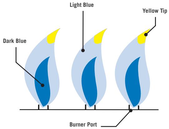 NAPOLEON GRILLS BI32, BI12 & BI10, BIG32, BIG38 & BIG44, BIB10, BIB12 & BIB18 - FLAME APPEARANCE - 2