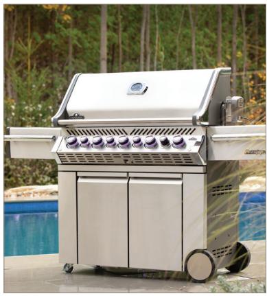 NAPOLEON GRILLS BI32, BI12 & BI10, BIG32, BIG38 & BIG44, BIB10, BIB12 & BIB18 - NAPOLEON - CELEBRATING OVER 40 YEARS OF HOME COMFORT PRODUCTS - 2