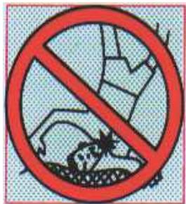 TRIGANO TRAMPOLINE + FILET + ECHELLE - Attention - 2