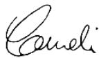 GARDENA CST 3018 - CST 3518 - DECLARATIE DE CONFORMITATE UE - 1