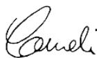 GARDENA CST 3018 - CST 3518 - DECLARACION DE CONFORMIDAD UE - 1