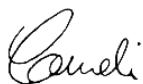 GARDENA CST 3018 - CST 3518 - EU Declaration of Conformity - 1