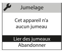 ATLANTIC Divali - Acceder au JUMELAGE - 2
