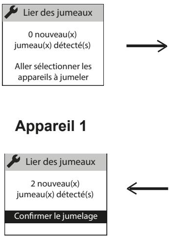 ATLANTIC Divali - Acceder au JUMELAGE - 3
