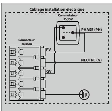 EQUATION DHU 2 EDITION LIMITE - BRANCHEMENT ELECTRIQUE - 4