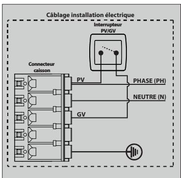 EQUATION DHU 2 EDITION LIMITE - BRANCHEMENT ELECTRIQUE - 3