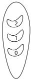 EQUATION FT23A1 - Dziatanie - 1