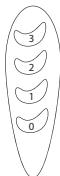 EQUATION FT30A - Funcionamento - 1